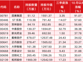 摩根大通、阿布扎比、高盛、高毅、景林等机构三季度持仓思路曝光|QFII