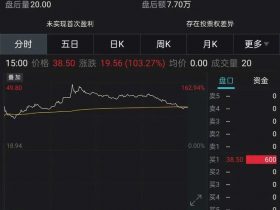 大涨超103%！A股“CDR第一股”来了 雷军又笑了