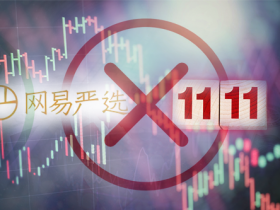 “双11”枪声刚响，就有人退赛！网易严选怒怼“过度消费”